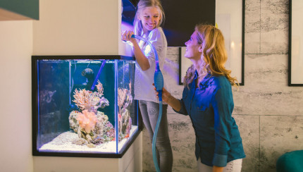 TITLE_DE_DE does not exist