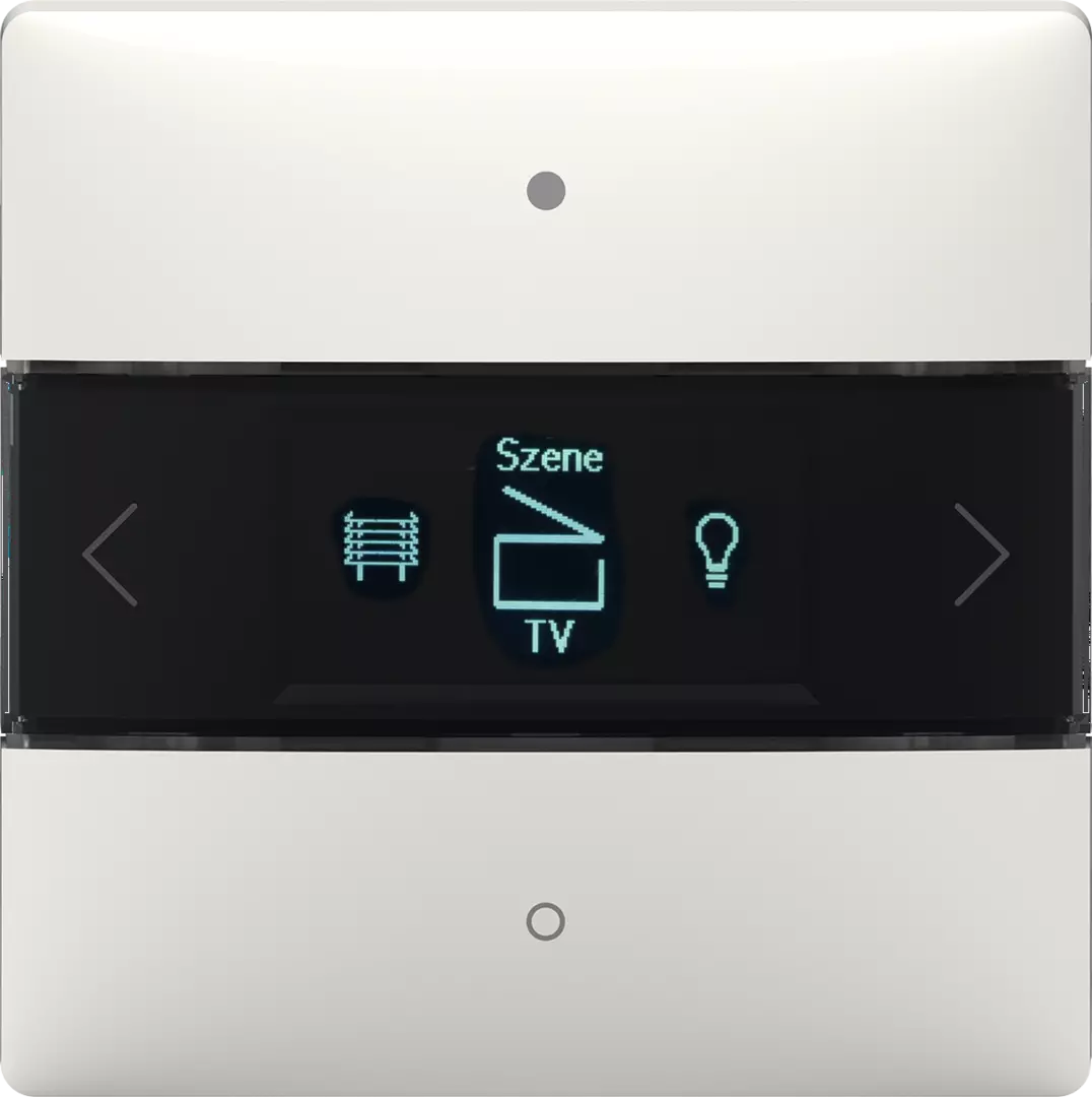 LUXORliving room controller, integrated room temperature controller